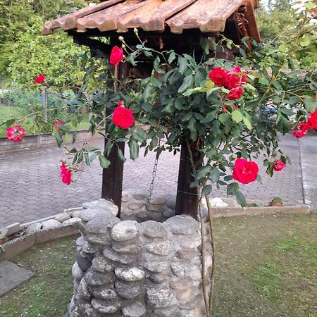 Вілла Il Vecchio Kiwi - House With Private Garden Oleggio Castello Екстер'єр фото